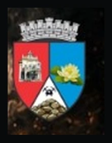 Primăria Comunei Moneasa